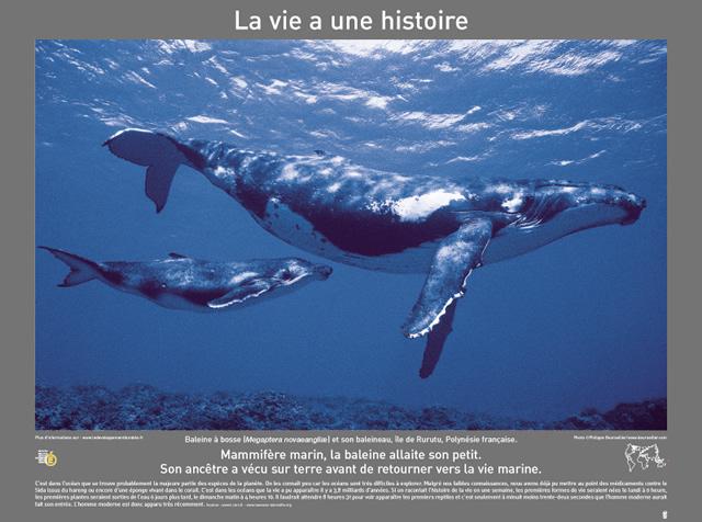 P2007 03LaVieAUneHistoire 
